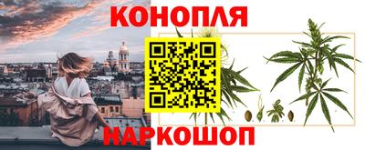 a pvp Можга