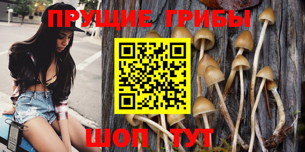 Тихорецк  Галлюциногенные грибы GOLDEN TEACHER  дарнет шоп  Вход с VPN  Галлюциногенные грибы ЛСД 